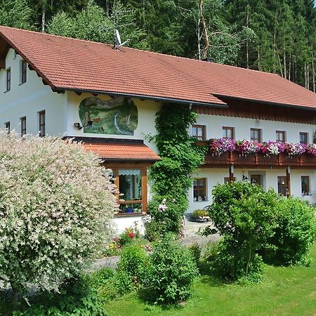 Haus Am Waldrand - Ferienwohnung Augustin Графенау Екстериор снимка