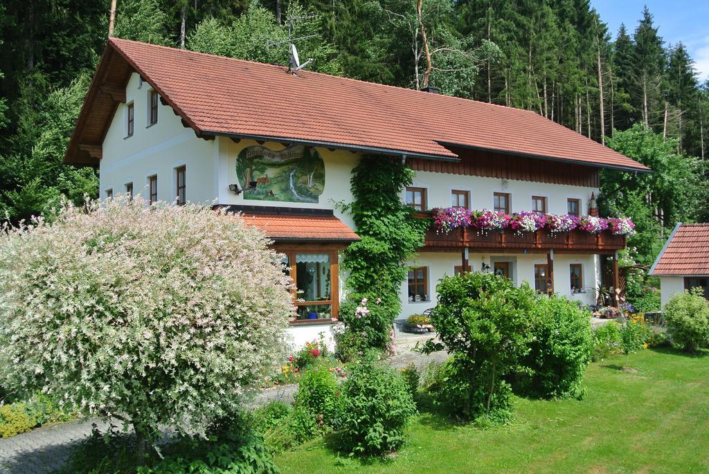 Haus Am Waldrand - Ferienwohnung Augustin Графенау Екстериор снимка