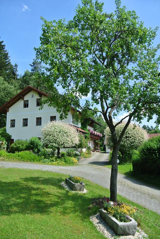 Haus Am Waldrand - Ferienwohnung Augustin Графенау Екстериор снимка
